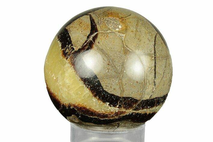 Polished Septarian Sphere - Madagascar #260038